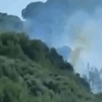 Aydın’da çıkan orman yangını kontrol altında