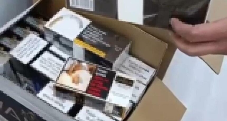 Aydın’da Jandarmadan kaçak sigara operasyonu