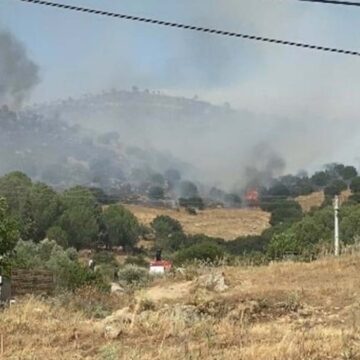 Aydın’da orman yangını: Yerleşim yerleri tehdit altında