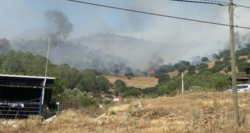 Aydın’da orman yangını: Yerleşim yerleri tehdit altında