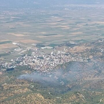 Aydın’da tarım arazisi küle döndü