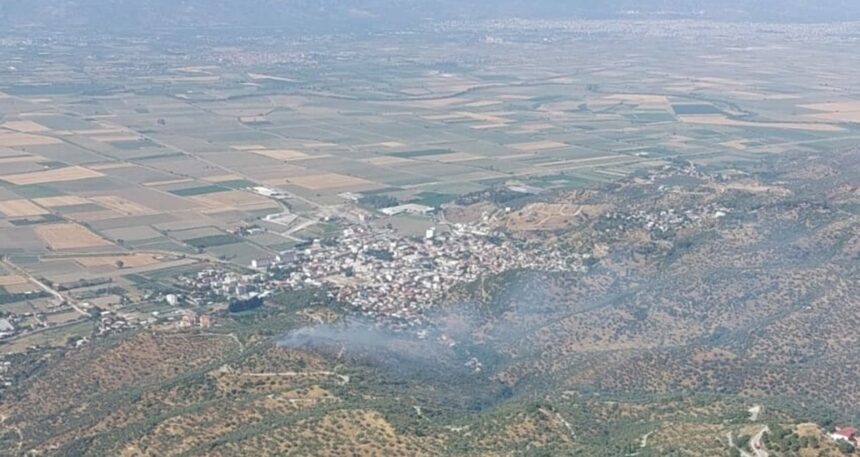 Aydın’da tarım arazisi küle döndü