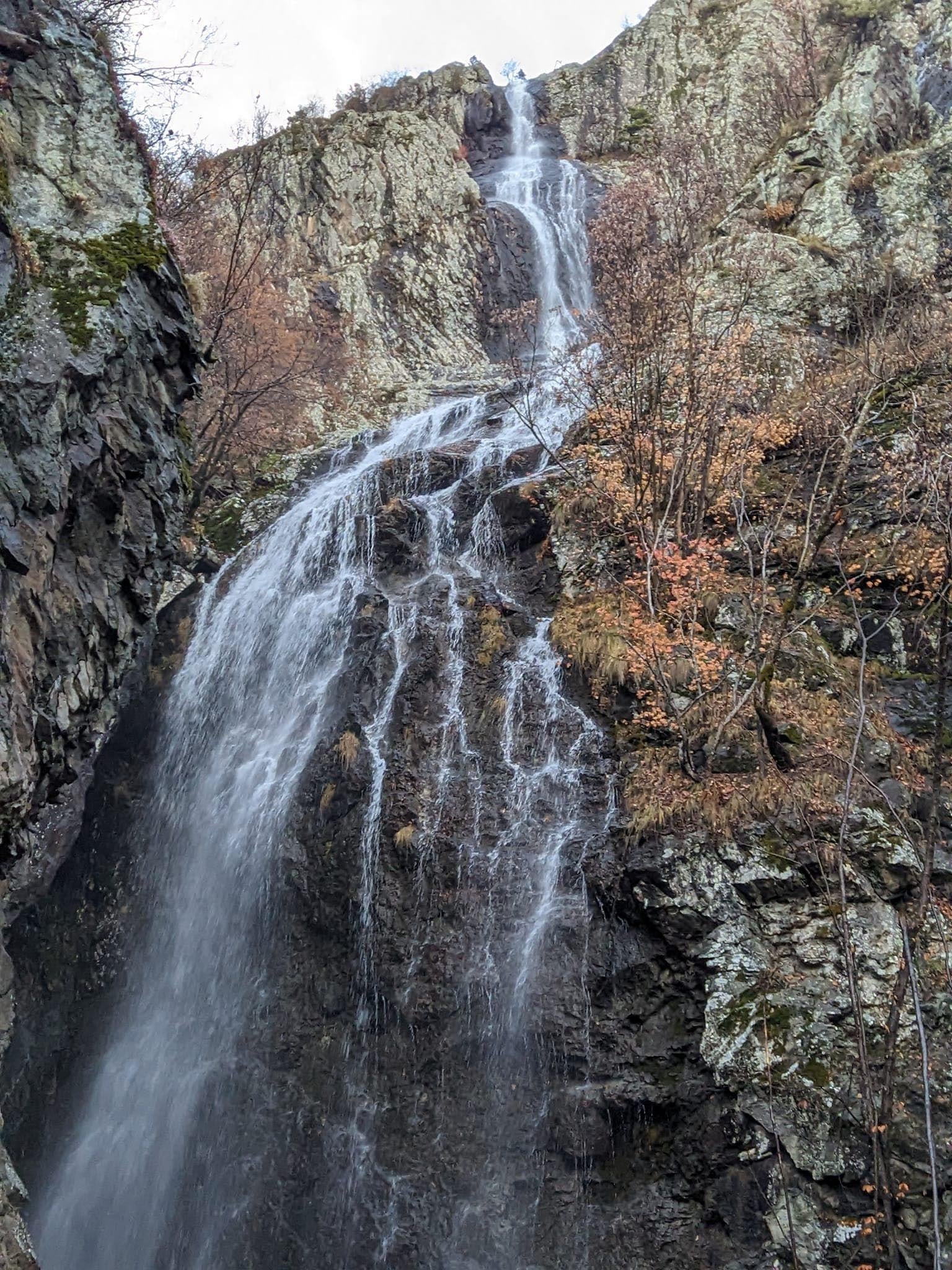 Ayının uçuruma iteklediği dağcılardan biri yaşamını yitirdi diğeri yaralandı