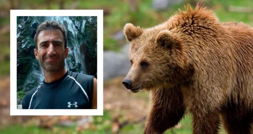 Ayının uçuruma iteklediği dağcılardan biri yaşamını yitirdi diğeri yaralandı