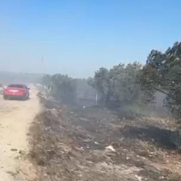 Balıkesir’de çöplükte başlayan yangın tarım arazisine sıçradı