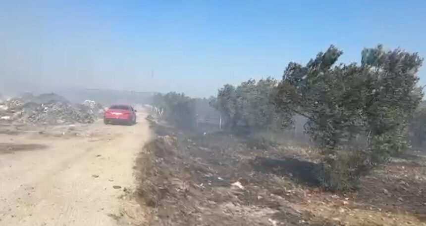 Balıkesir’de çöplükte başlayan yangın tarım arazisine sıçradı