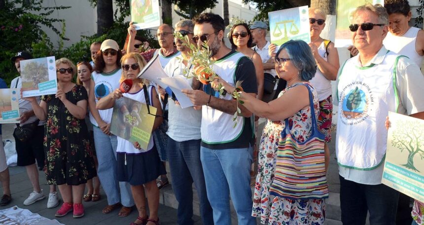 Bodrum’da zeytinlik için eylem