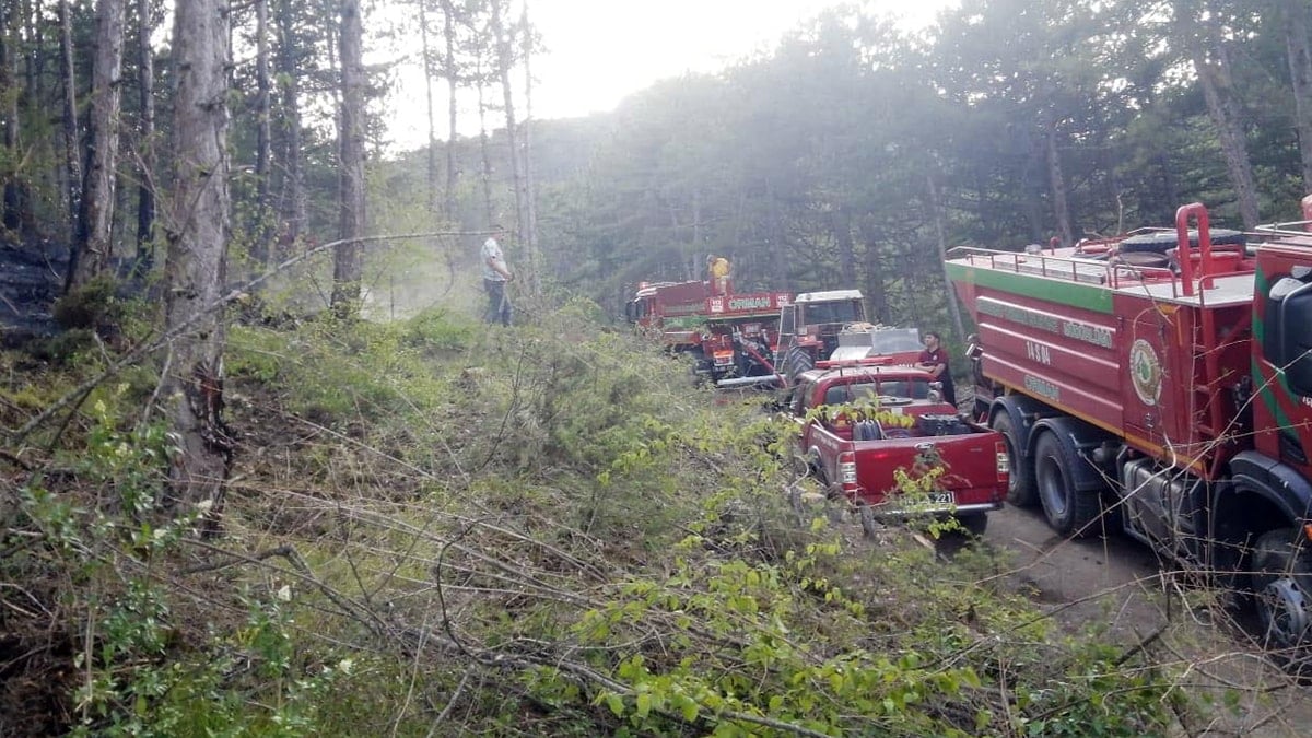 Bolu'da orman yangını