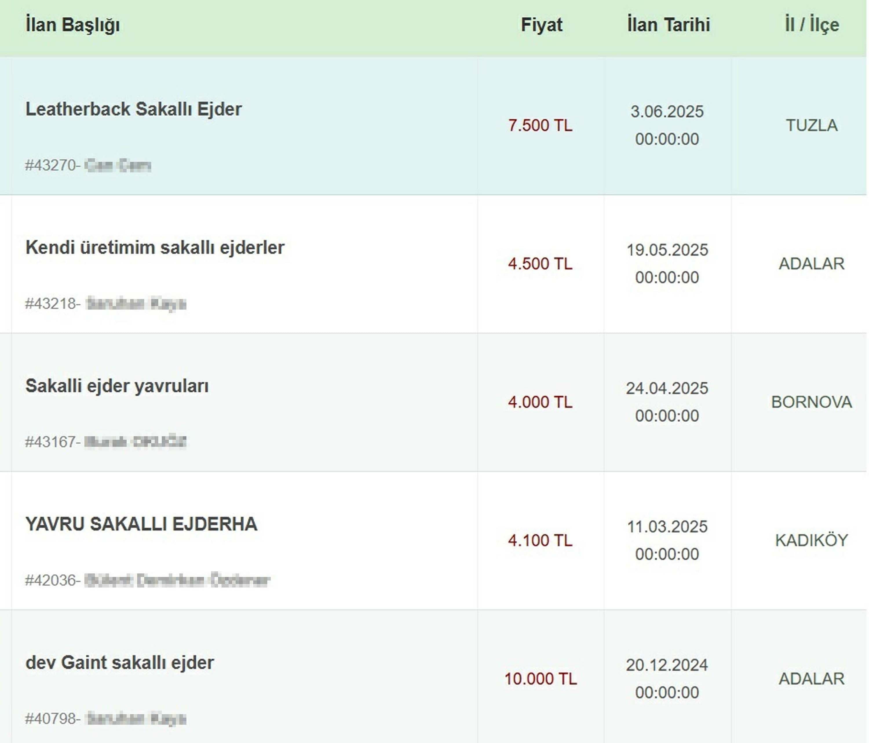 Bu da oldu! İnternetten ejder satıyorlar