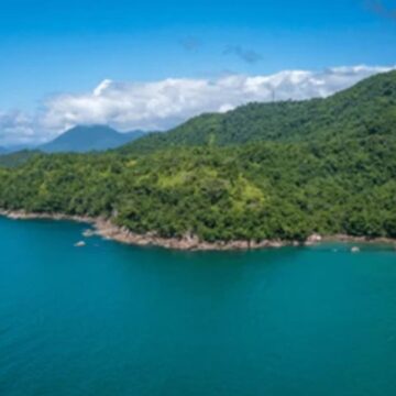 Deniz kıyısındaki ormanlık alanlar turizme açıldı
