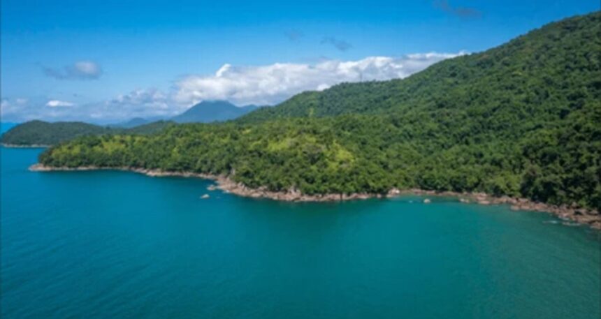 Deniz kıyısındaki ormanlık alanlar turizme açıldı