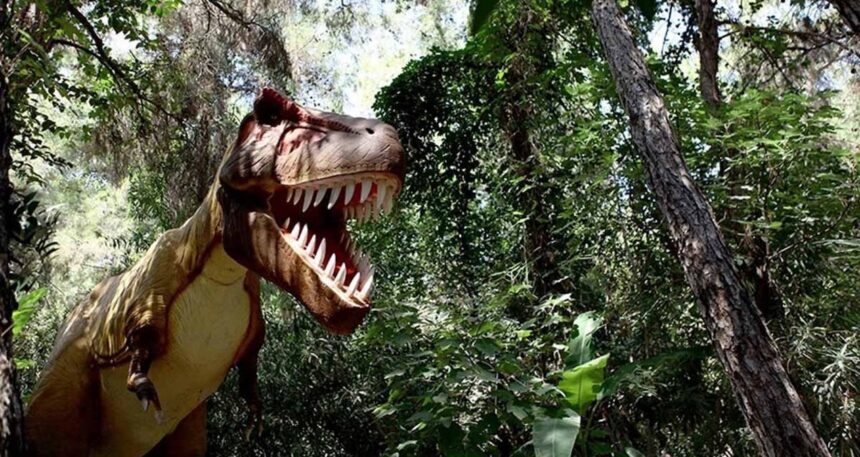 Dinozorların son yemeği fosillerden çıkarıldı!