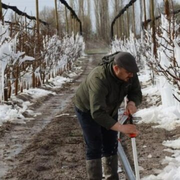 Donun vurduğu 1.925 tarla satışa çıkarıldı