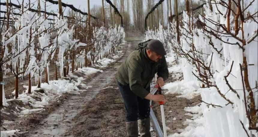Donun vurduğu 1.925 tarla satışa çıkarıldı