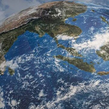 Dünya üzerindeki her canlı aynı basit kuralı izler! İşte çığır açan araştırmadaki o kural…