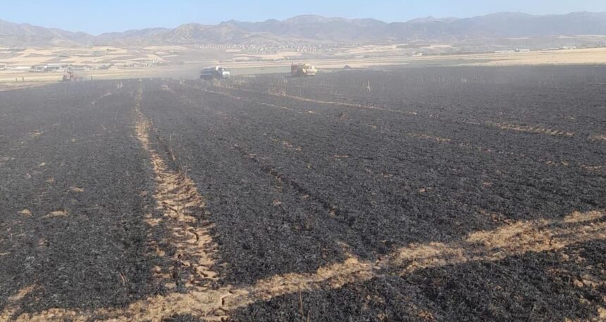 Elazığ Karakoçan’da tarla yangını: 50 dönüm ekili alan kül oldu