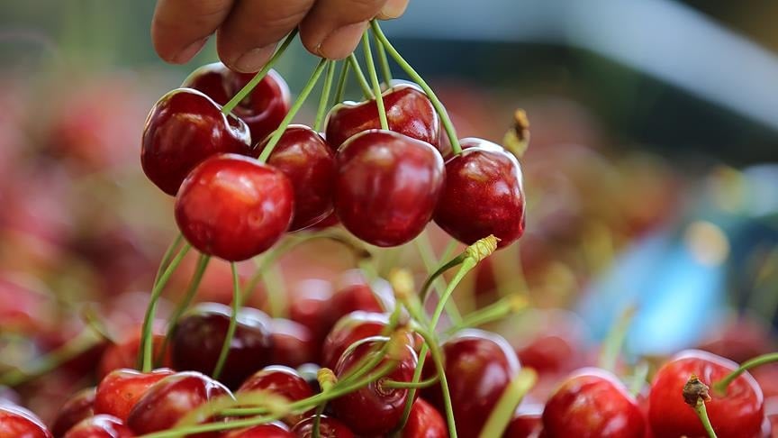Fiyatı 80 TL'den 400 TL'ye çıktı: Bu yıl yemeye hasret kalacağız