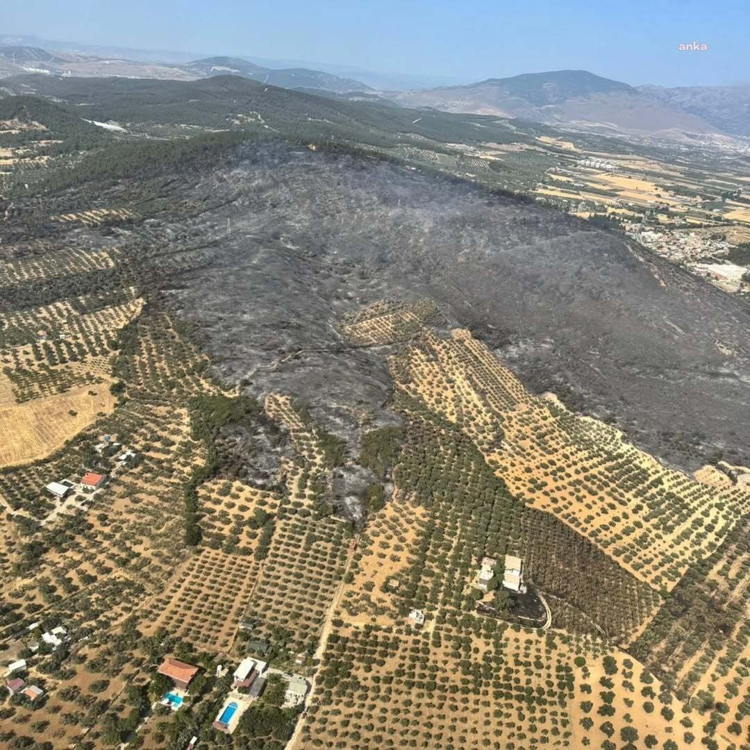Foça’daki orman yangını 8 saatin sonunda kontrol altına alındı