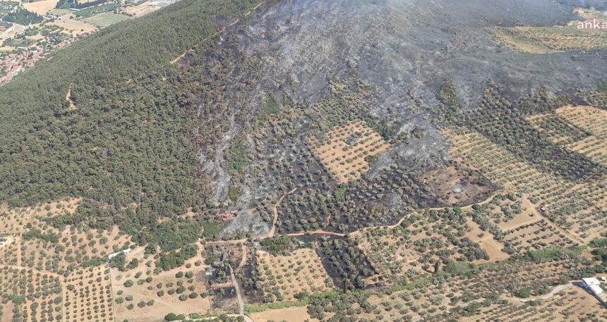 Foça’daki orman yangını 8 saatin sonunda kontrol altına alındı