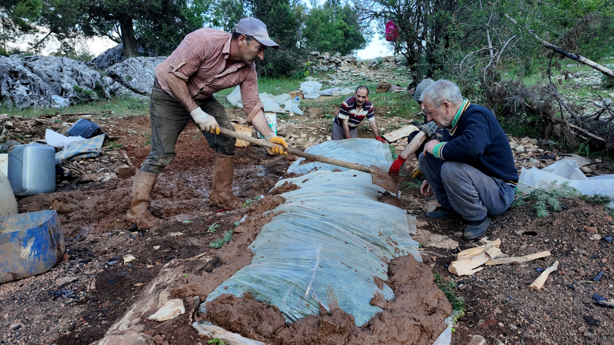Gece gündüz başında nöbet tutuluyor: Kilosu altını solladı