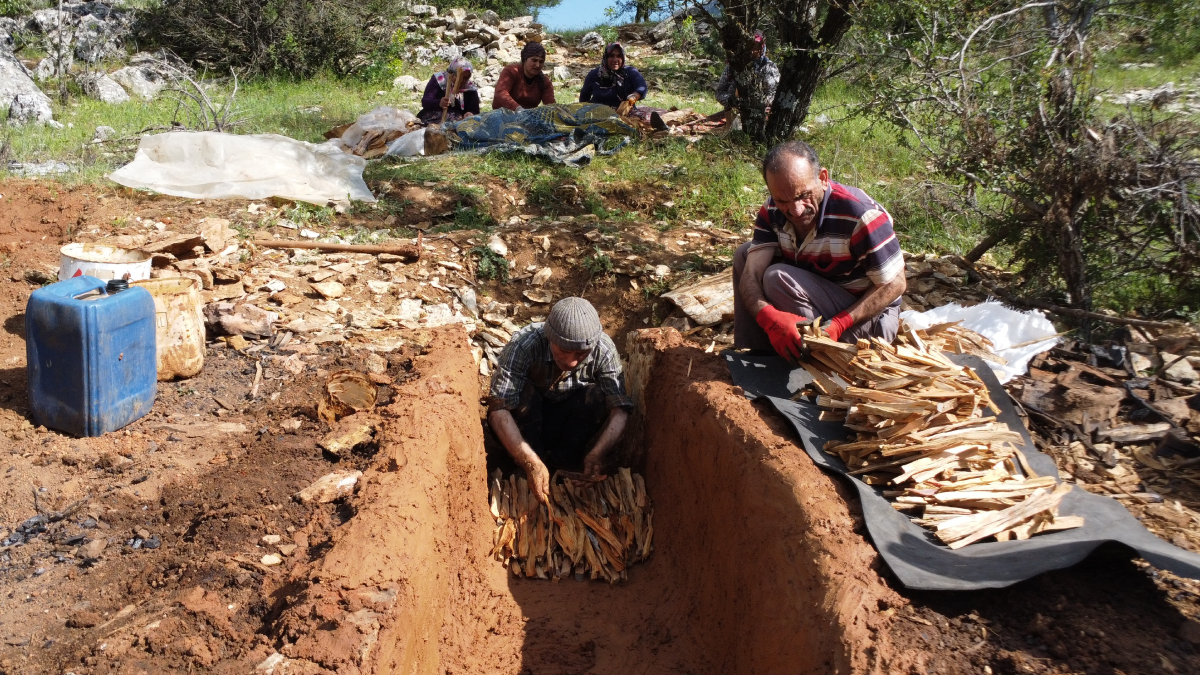 Gece gündüz başında nöbet tutuluyor: Kilosu altını solladı