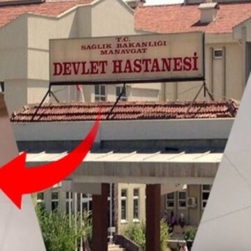 Hastanede hijyen skandalına ilginç çözüm: Başhekim farelere karşı kedi aldı