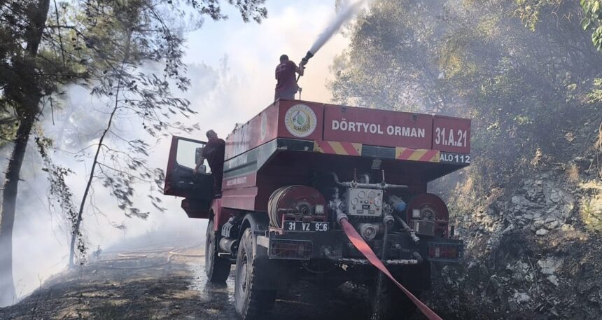 Hatay’da orman yangını: Karadan ve havadan müdahale sürüyor
