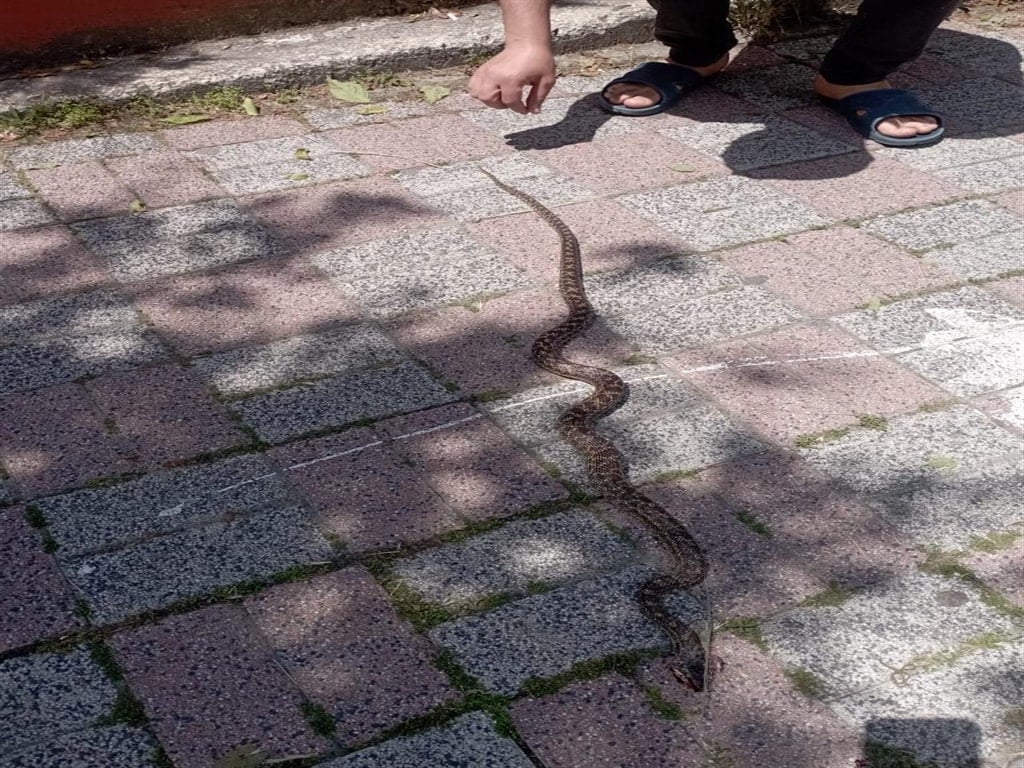 Havalar ısınınca ortaya çıktı: İstanbul'da yedi ilçedeki vatandaşlar tedirgin