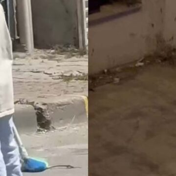 Havalar ısınınca ortaya çıktı: İstanbul’da yedi ilçedeki vatandaşlar tedirgin