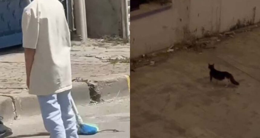Havalar ısınınca ortaya çıktı: İstanbul’da yedi ilçedeki vatandaşlar tedirgin