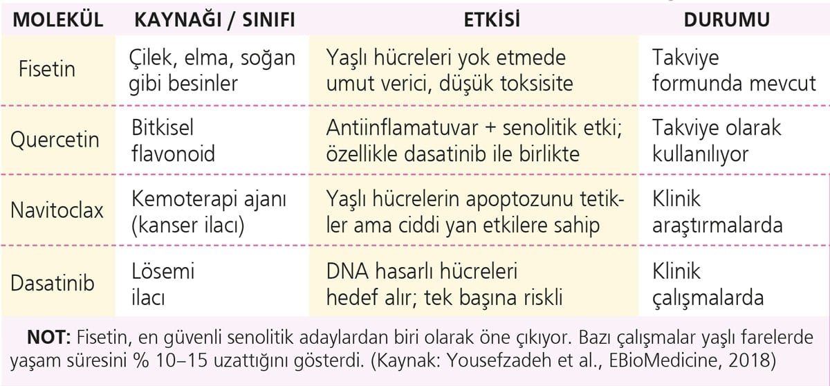 Hücreyi temizle, gençliği kazan: Yeni nesil senolitikler