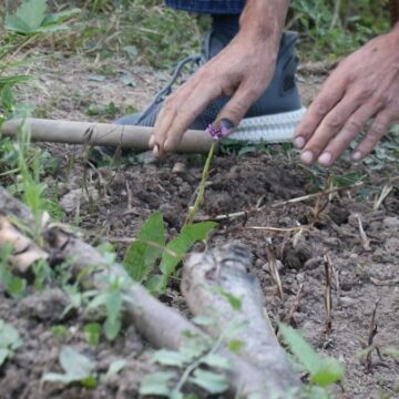 İki yıl önce merakla başladılar şimdi zengin oldular