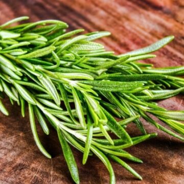 İnsan beynini gençleştiren bitki aslında her pazarda satılıyormuş