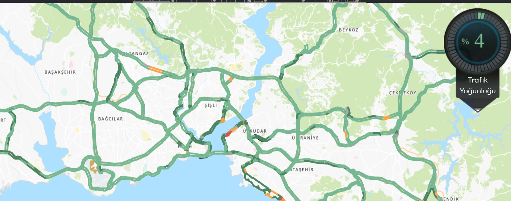 İstanbullular gözlerine inanamadı: Sadece yüzde 4!