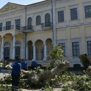 İzmir Valiliği’ndeki asırlık çınar devrildi; o anlar kamerada