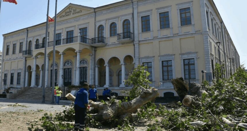 İzmir Valiliği’ndeki asırlık çınar devrildi; o anlar kamerada