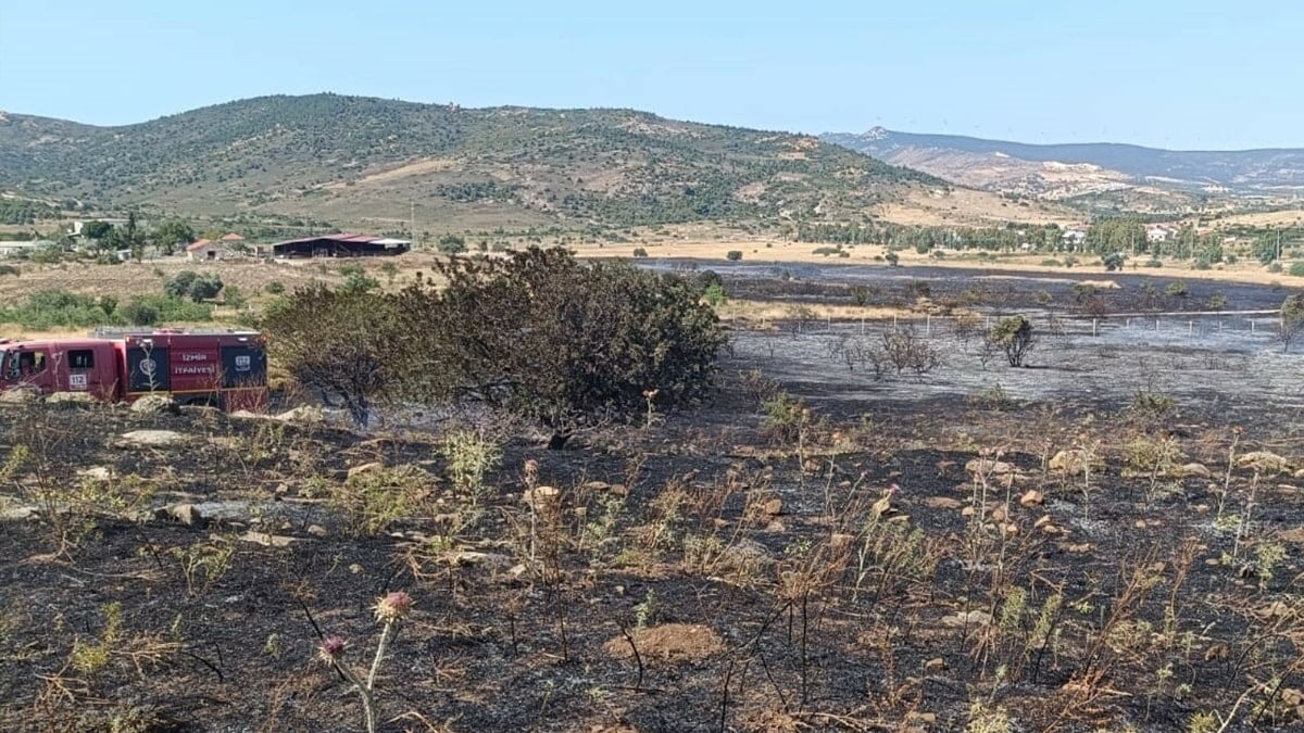İzmir'de yangın: 4 hektar küle döndü