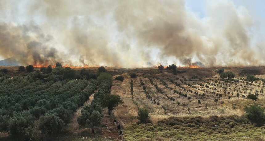İzmir’de yangın: 4 hektar küle döndü