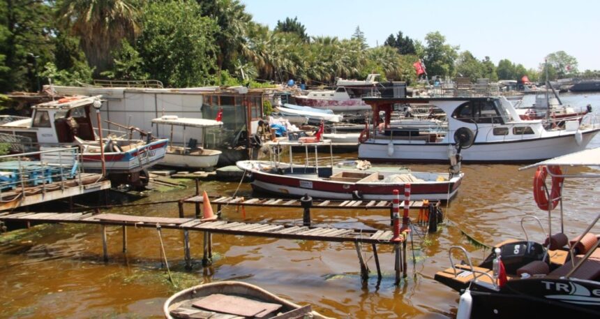 İzmit Körfezi’nde başladı, Marmara için kritik uyarı yapıldı