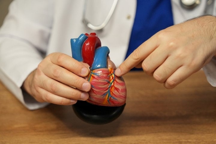 Kalbinizde plastik olabilir mi? Uzmanından kritik açıklama