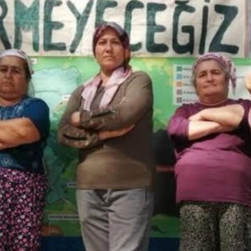 Köylüler zeytinlik için Ankara’ya gidiyor