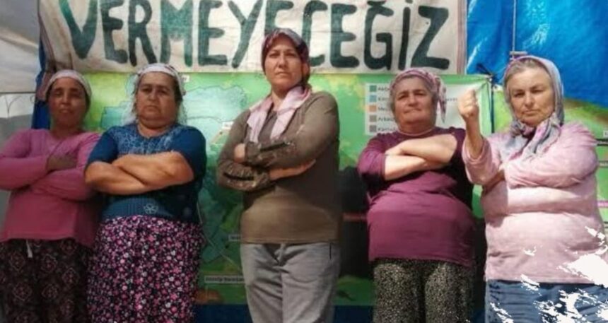 Köylüler zeytinlik için Ankara’ya gidiyor