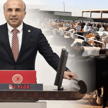“Kurban fiyatı 5 yılda yüzde 900 arttı, bayram yoksulun sofrasına uğramıyor”