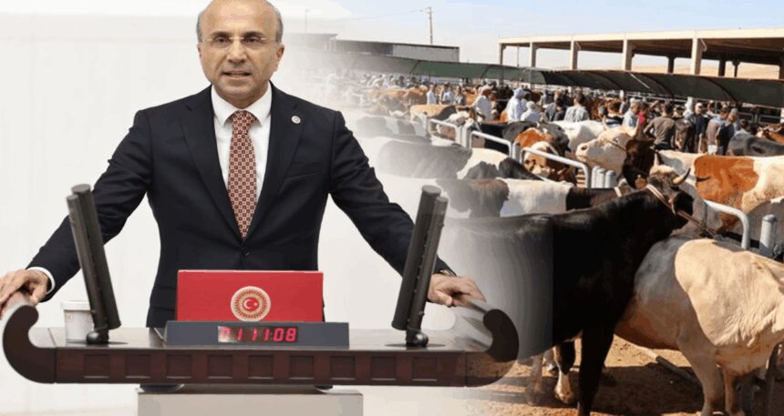 “Kurban fiyatı 5 yılda yüzde 900 arttı, bayram yoksulun sofrasına uğramıyor”