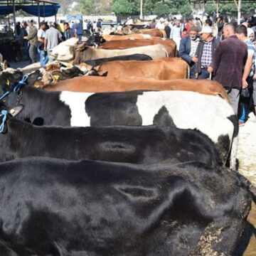 Kurban pazarlarındaki yoğunluk bayramın ikinci gününde de sürüyor