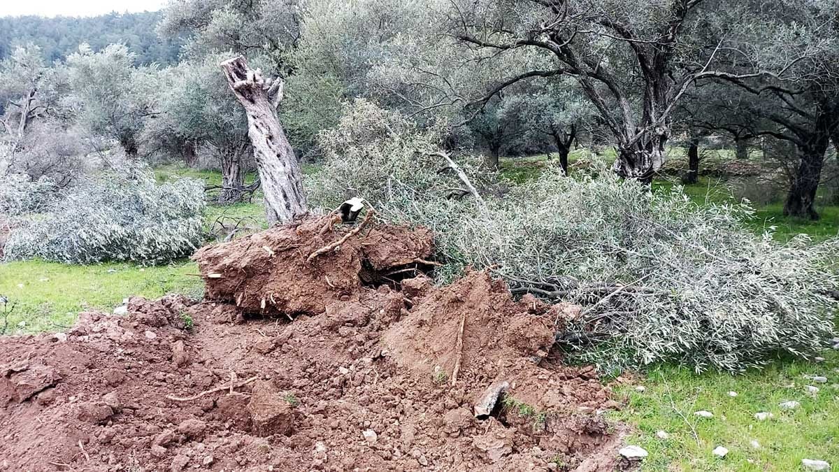 Madencilerin değil köylünün sesi olun