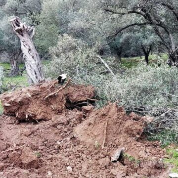 Madencilerin değil köylünün sesi olun