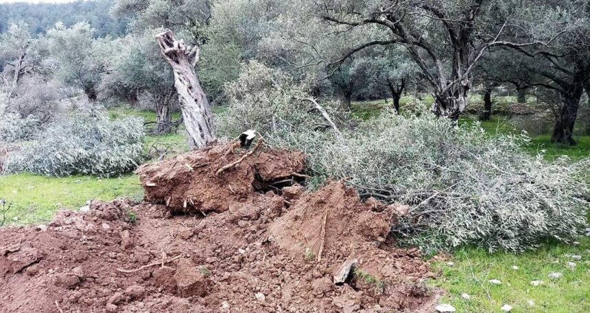 Madencilerin değil köylünün sesi olun