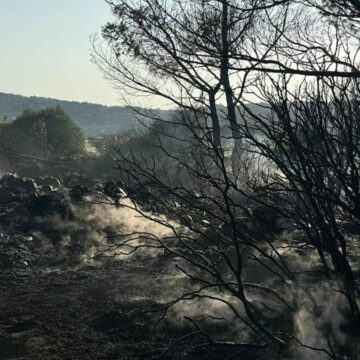 Mangal yaparken ormanı küle çevirdi