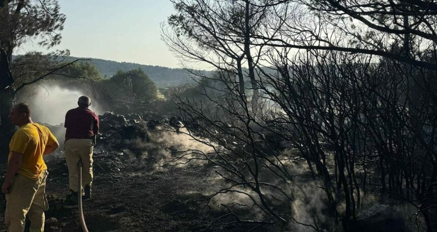 Mangal yaparken ormanı küle çevirdi
